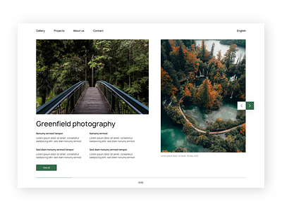 Greenfield photography aesthetic button homepage navigation pagination simple slider ui ux web design website