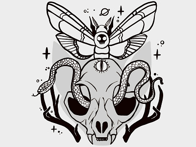 Cat Skull, Moth, Third Eye, Snake Illustration