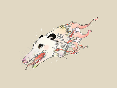 Opossum animal apple pencil artwork drawing illustration ipad ipad art open opossum possum strange tshirt design