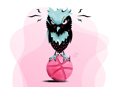 Hey There Dribbble! bird debut dribbble owl