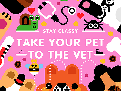 Take your pet to the vet