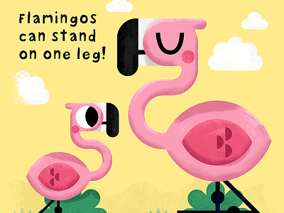 Did you know that.. animal boardbook book cute fact flamingo illustration illustrator kids toddler