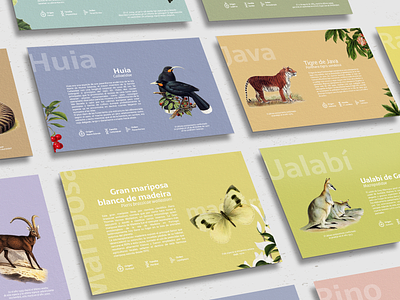Postcards: No olvidemos " Let's not forget". animals colors design illustration pastel colors postcards tipography
