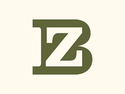 The Benefit Zone branding logo