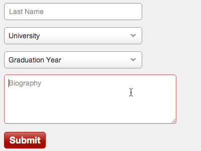 UI form clean css focus form html ui