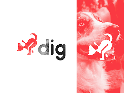 Dig - Experimental Logo aws data data insights dig dog logo flat logo governance logo red technology