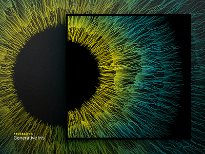 Generative Iris — Lamprotornis Regius palette artificial code colorfull computation eye generative iris processing texture