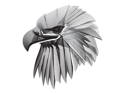 Fiero bald bird black blend eagle geometric hawk line monochrome patriot prey white