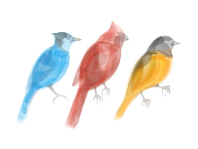 MLB Birds graphic design illustration