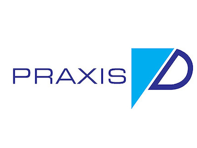 Praxis Design Company branding color exploration icons creativedesign graphic design icon illustration logo typography