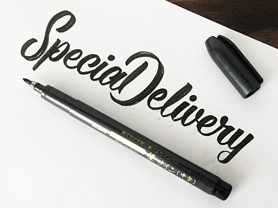 SpecialDelivery