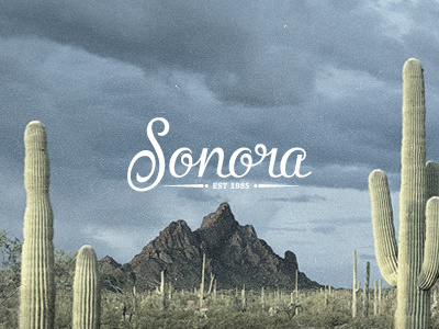 Sonora cowgirl desert female hand lettered identity lettering logo script type typography western