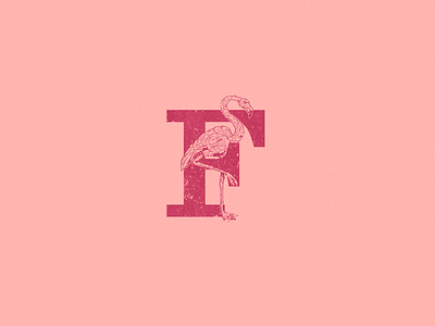 F: Flamingo. 36 days of type 36dayoftype animal art drawing flamingo flat illustration logo type typography