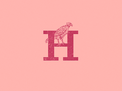 H: Hawk. 36 days of type 36daysoftype art bird eagle falcon hatching hawk illustration type typogaphy