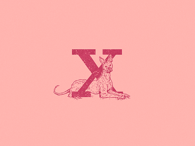X: Xoloitzcuintli 36 days of type 36daysoftype art design illustration x x letter xolo xoloitzcuintli