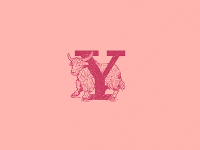 Y: Yak 36 days of type 36daysoftype art beast illustration logo type typogaphy y y letter y logo yak