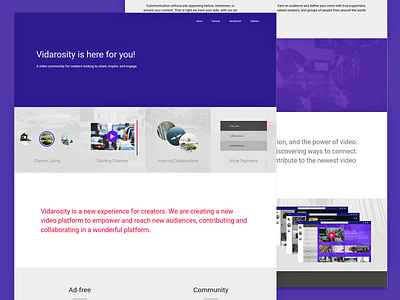 Vidarosity | Landing Page