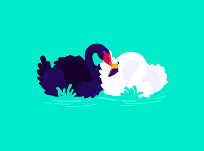 Black Swan art artist character cute design flat illustration illustration art illustrator vector