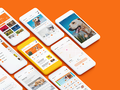 Application Design of Pet animal app art clean creative design dog pet pet care product design sketch ui ux