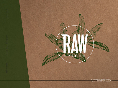 Raw Logo Concept - V2