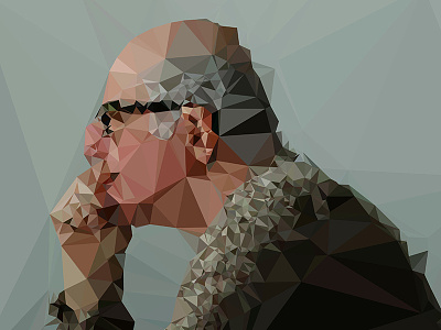 Deluanay Triangulation Exploration @ashakur abdullah shakur ashakur karl martens pixel