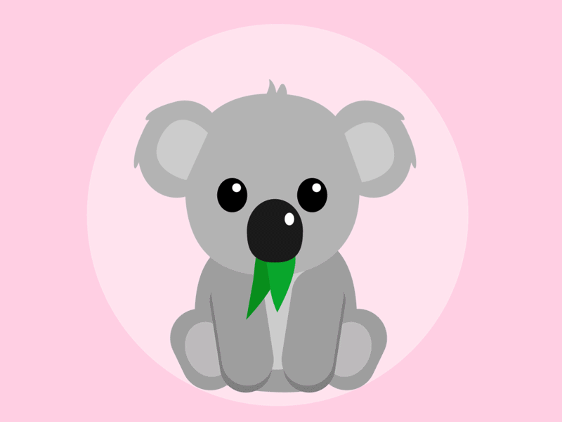 Koala wink animation australia cute filter gif instagram koala wink