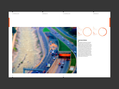 Annual Report annual report annualreport editorial design indesign tilt shift typography