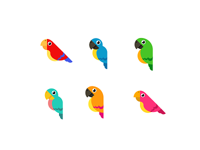Parrot mascot bird color icon illustration illustrator mascot parrot pirate