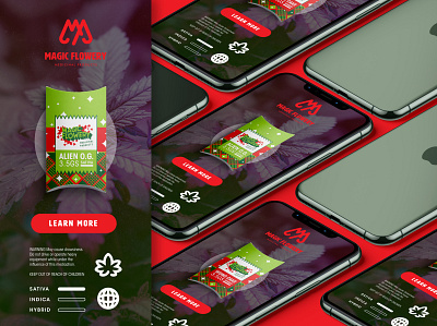 Magic Flowery M.P. Product UI/UX Concept app brand branding design illustration interface logo mobile app responsive typography ui ux vector