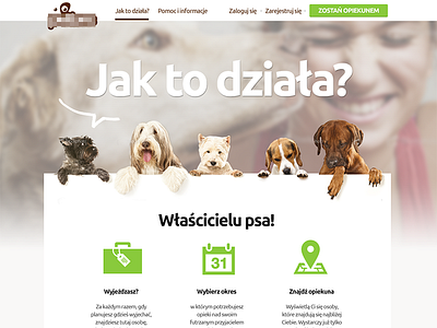x animals blur clean dog dogs flat landing page web design website