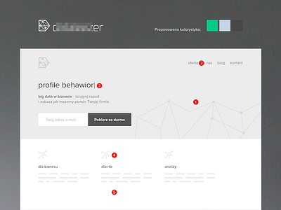 "big data" website prototype big data conversion grey landing page lp mockup prototype web