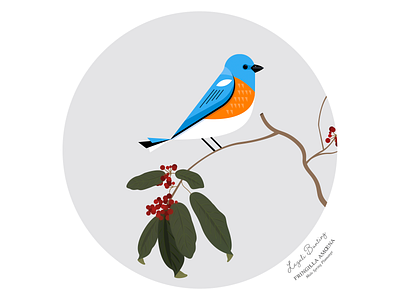 Birds of America: Lazuli Bunting