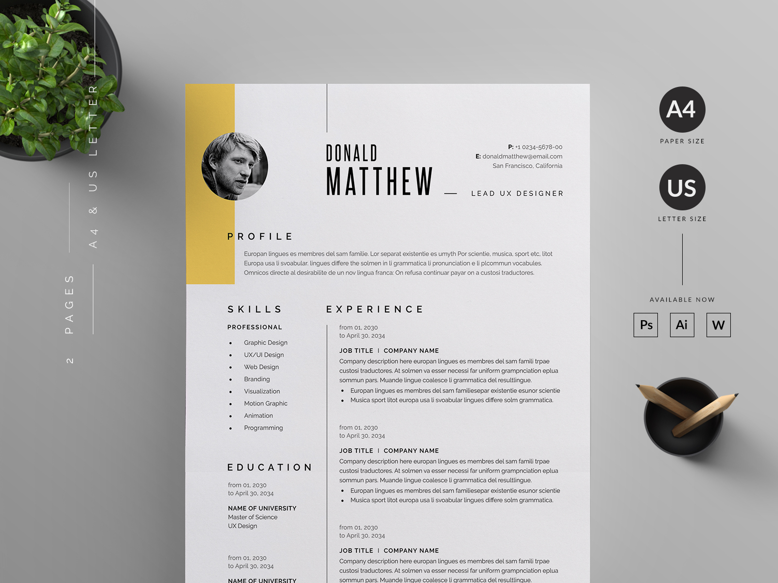 Resume/CV by Reuix Studio on Dribbble