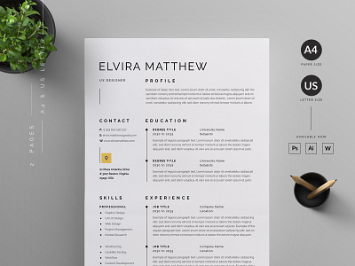 Resume/CV by Reuix Studio on Dribbble