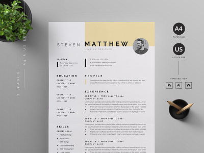 Resume/CV vector