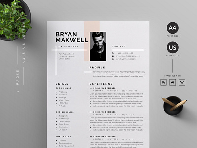 Resume/CV vector