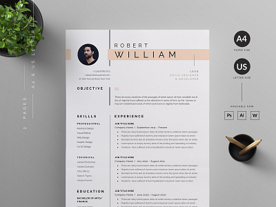 Resume/CV vector