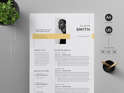 Resume/CV vector