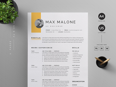 Resume/CV clean cv clean resume cover letter cv resume resume template