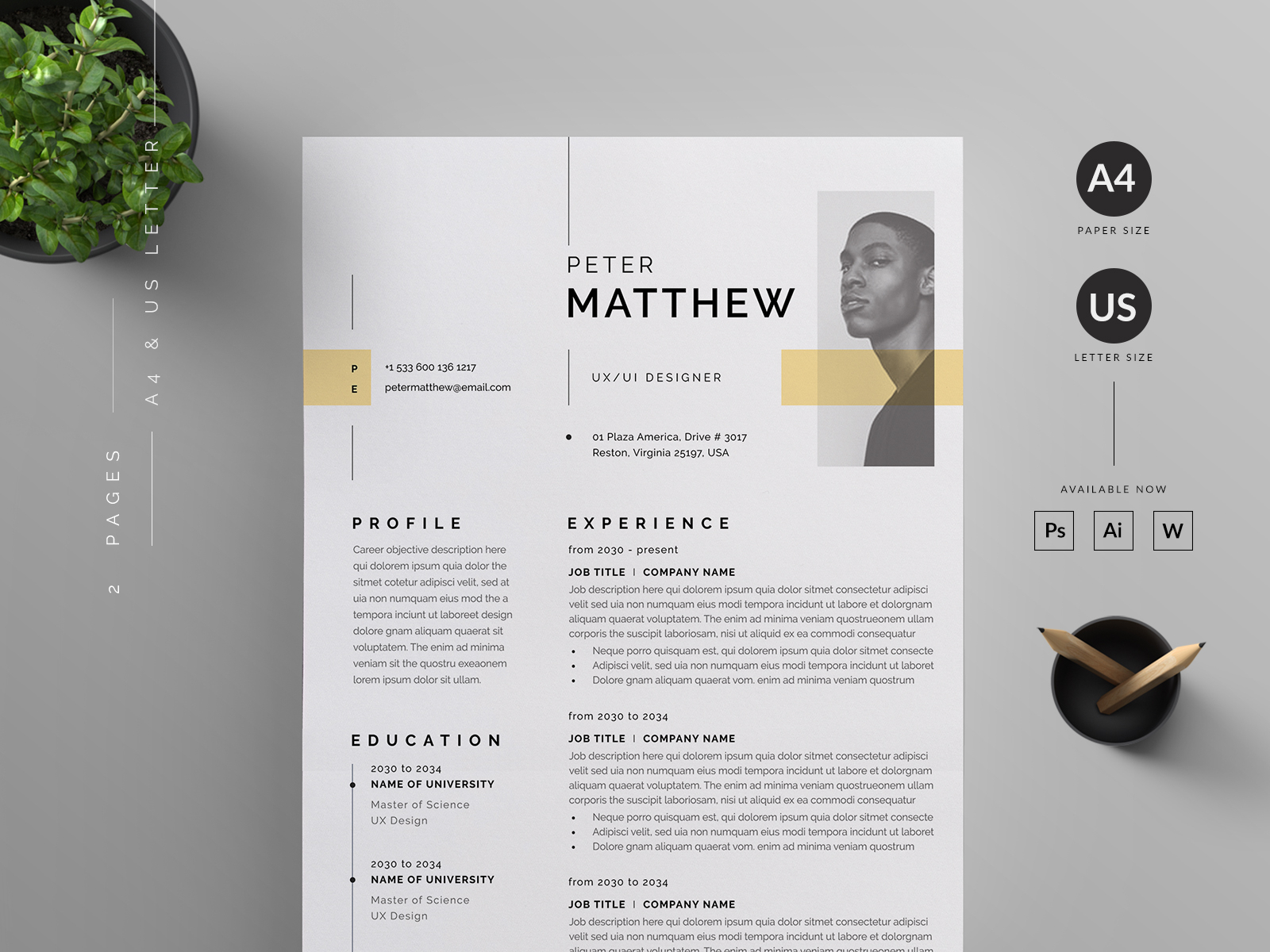 Resume/CV by Reuix Studio on Dribbble