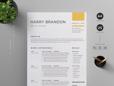 Resume/CV vector