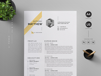 Resume/CV vector