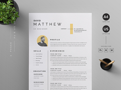 Resume/CV vector