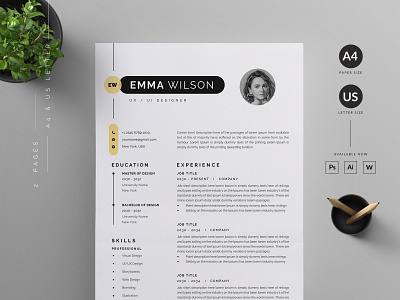 Resume/CV vector