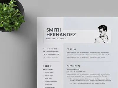 Resume/CV a4 branding business business letterhead clean corporate corporate identity cv template docx letterhead modern resume professional professional resume resume simple stationery us letter vector word word template