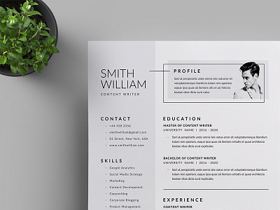 Resume/CV a4 branding business business letterhead clean corporate corporate identity cv template docx letterhead modern resume professional professional resume resume simple stationery us letter vector word word template