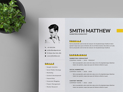 Resume/CV a4 branding business business letterhead clean corporate corporate identity cv template docx letterhead modern resume professional professional resume resume simple stationery us letter vector word word template