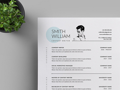 Resume/CV a4 branding business business letterhead clean corporate corporate identity cv template docx letterhead modern resume professional professional resume resume simple stationery us letter vector word word template