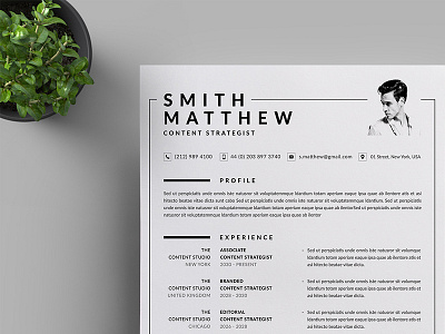 Resume/CV a4 branding business business letterhead clean corporate corporate identity cv template docx letterhead modern resume professional professional resume resume simple stationery us letter vector word word template