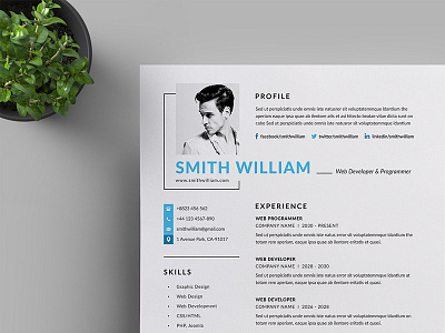 Resume/CV a4 branding business business letterhead clean corporate corporate identity cv template docx letterhead modern resume professional professional resume resume simple stationery us letter vector word word template